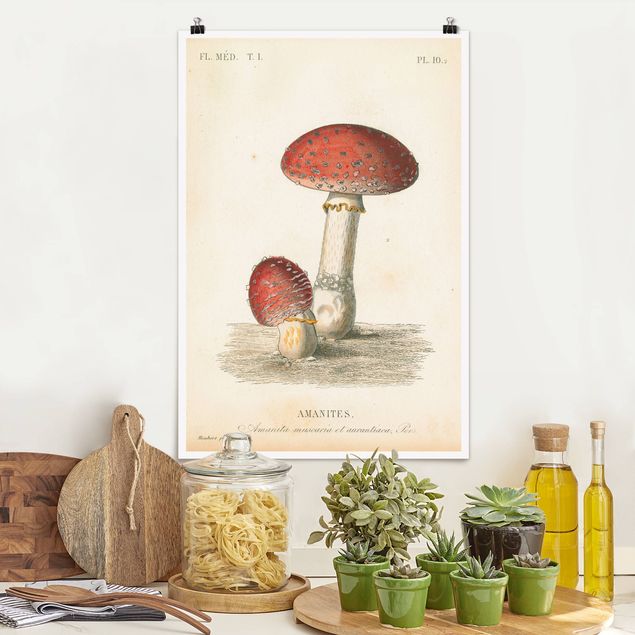 Dekoracja do kuchni French mushrooms II