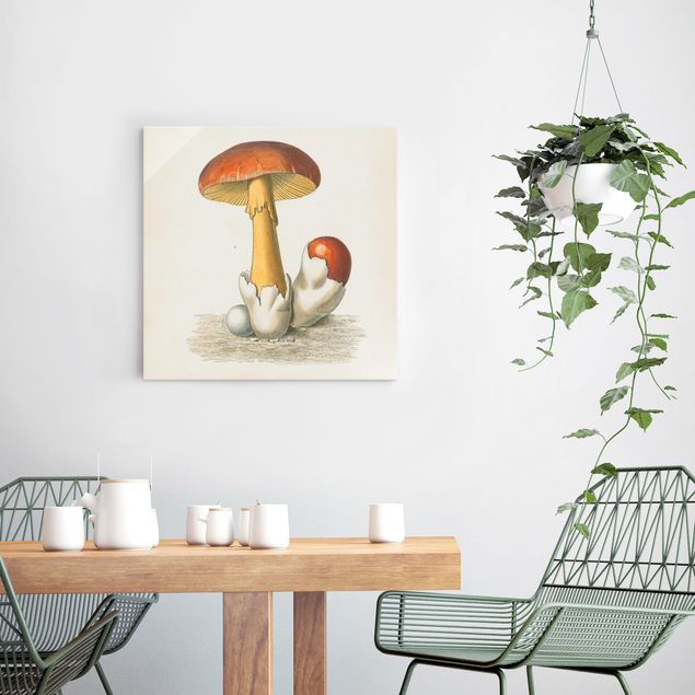 Obrazy na szkle kwadrat French Mushrooms