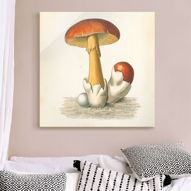 Obrazy do salonu French Mushrooms