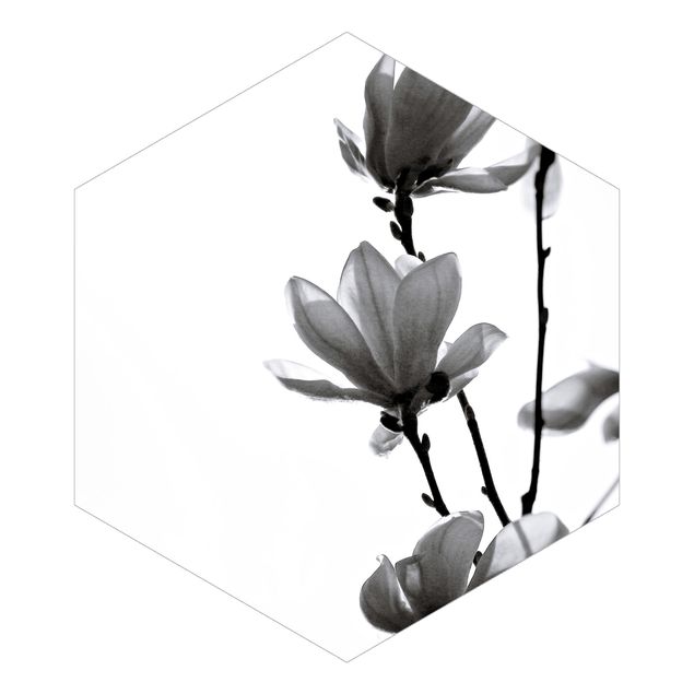 Sześciokątna tapeta samoprzylepna - Spring Messenger Magnolia czarno-biały