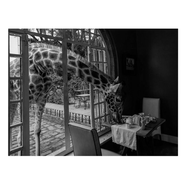 Obrazy zwierzęta Śniadanie z żyrafą