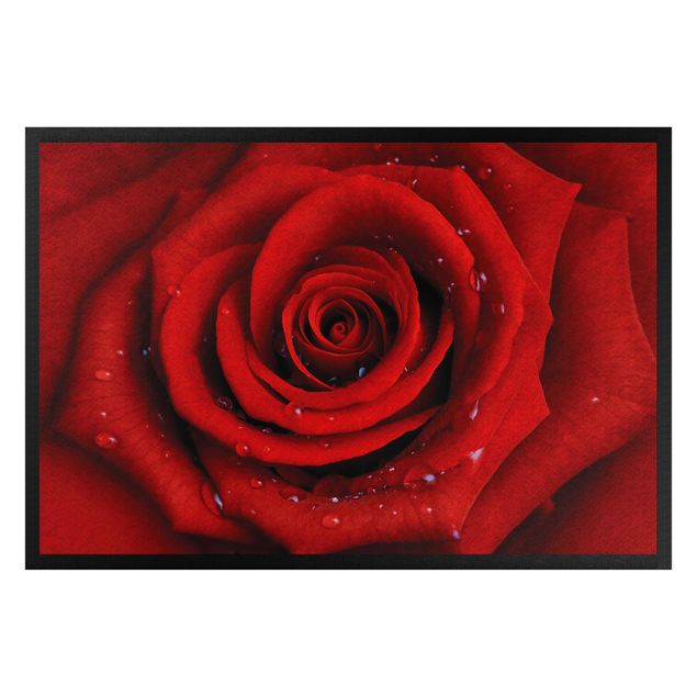 Domowe tekstylia Róża czerwona z kroplami wody