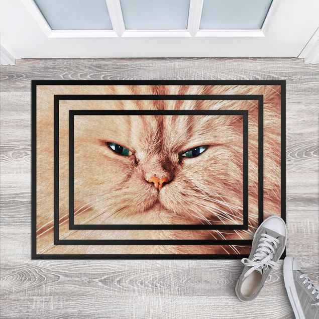 dywanik perski Kot woskowy