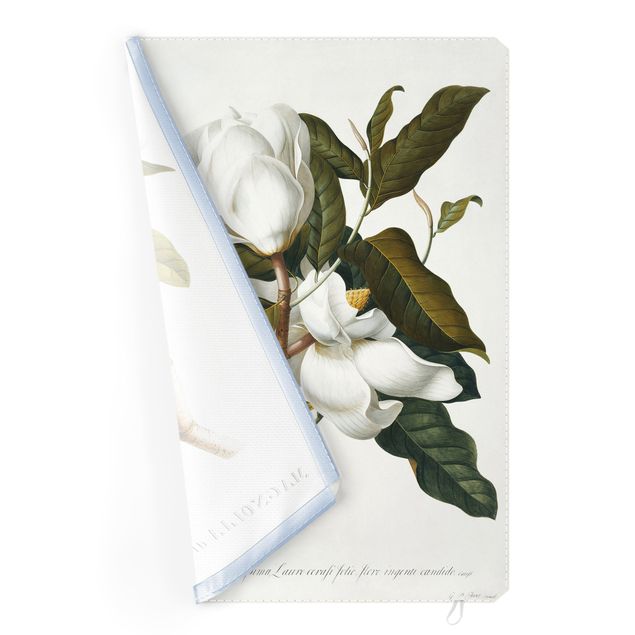 Obrazy kwiatowe Georg Dionysius Ehret - Magnolia