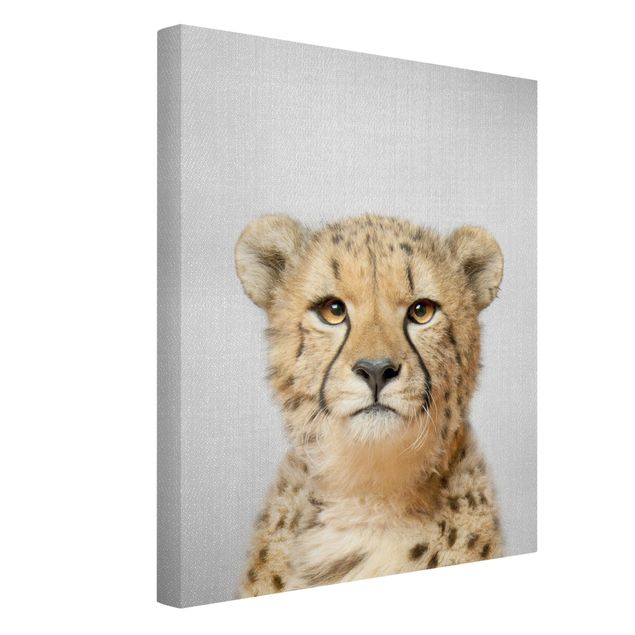 Obrazy ze zwierzętami Cheetah Gerald