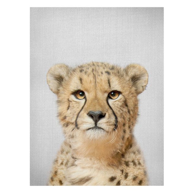 Obrazy na płótnie kot Cheetah Gerald