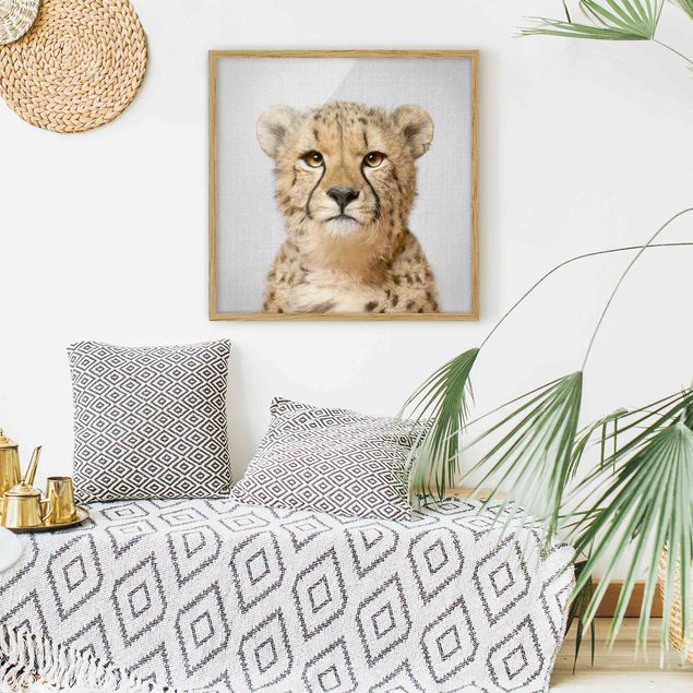 Obrazy w ramie zwierzęta Cheetah Gerald