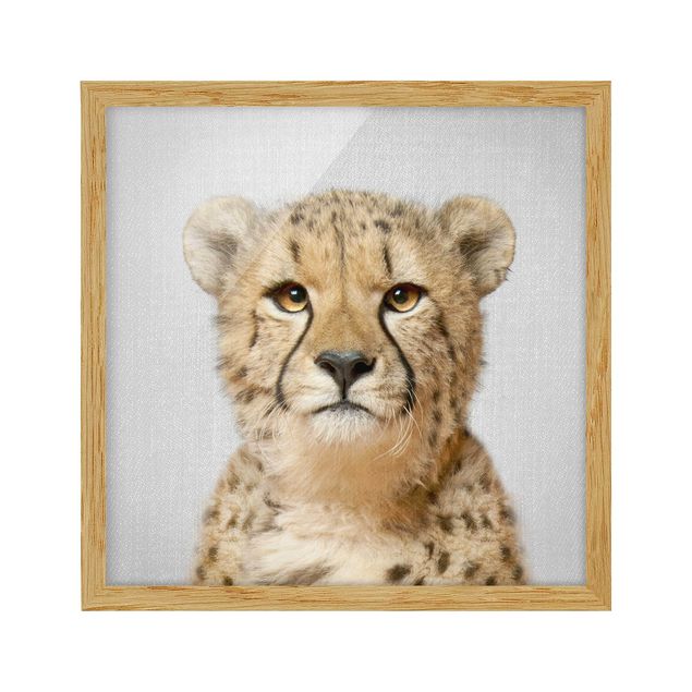 Nowoczesne obrazy do salonu Cheetah Gerald
