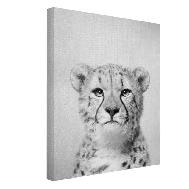 Obrazy ze zwierzętami Cheetah Gerald Black And White