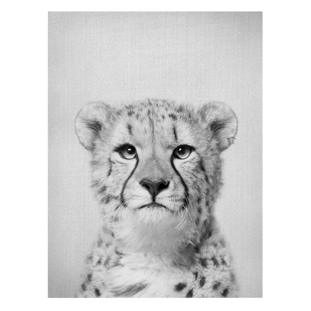 Obrazy na płótnie kot Cheetah Gerald Black And White