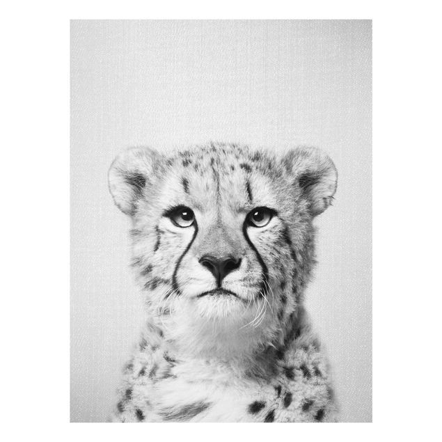 Obrazy nowoczesne Cheetah Gerald Black And White