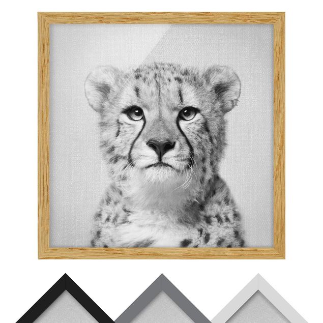 Zwierzęta obrazy Cheetah Gerald Black And White