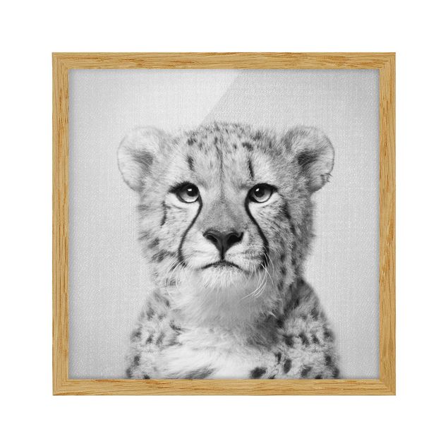 Obrazy do salonu nowoczesne Cheetah Gerald Black And White