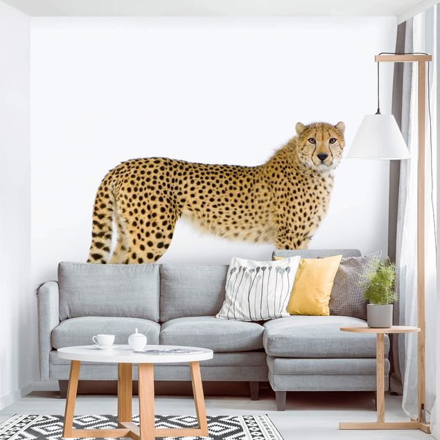 Dekoracja do kuchni Gepard