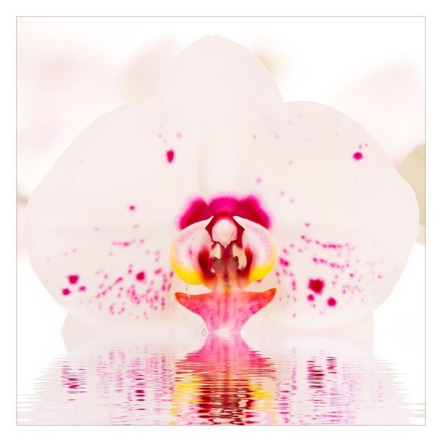 Fototapeta - Orchidea w kropki na wodzie