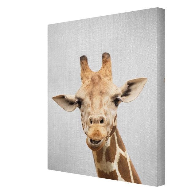 Obrazy Afryka Giraffe Gundel