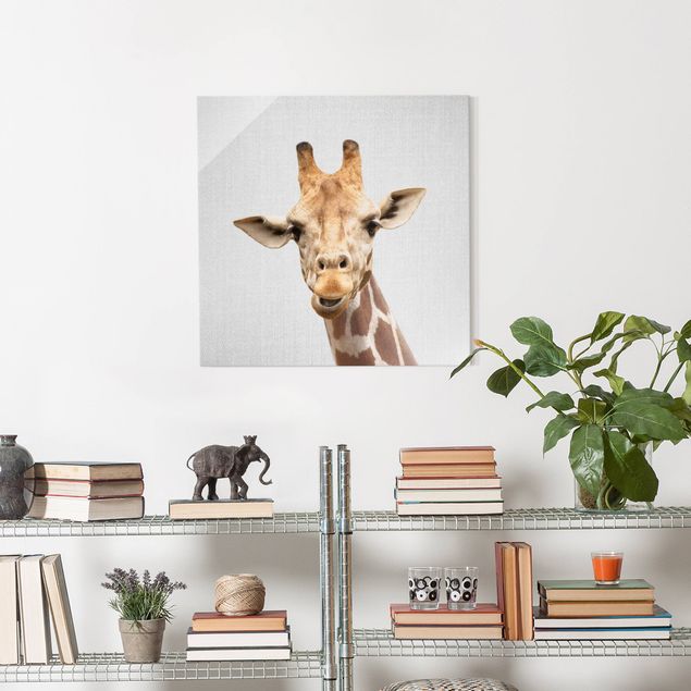 Obrazy na szkle kwadrat Giraffe Gundel
