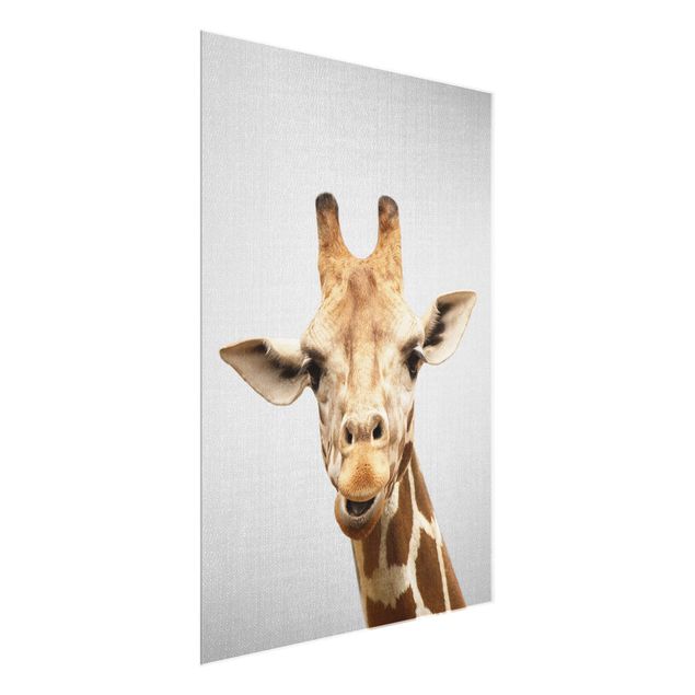 Żyrafa obraz Giraffe Gundel