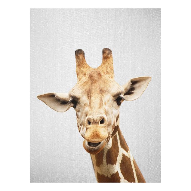 Obrazy na szkle zwierzęta Giraffe Gundel