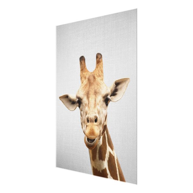 Obrazy nowoczesne Giraffe Gundel