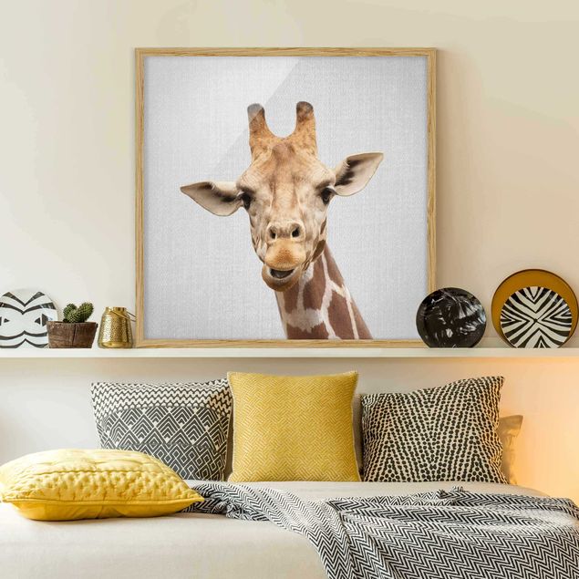 Obrazy żyrafa Giraffe Gundel