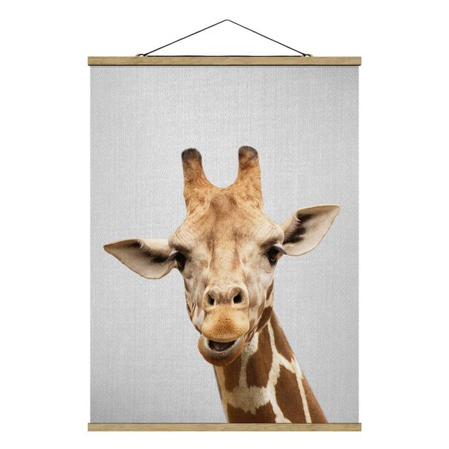 Obrazy ze zwierzętami Giraffe Gundel