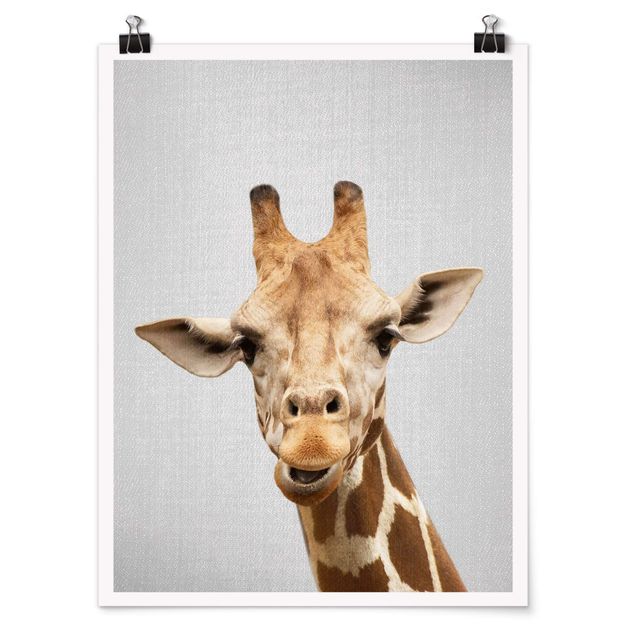 Obrazy zwierzęta Giraffe Gundel