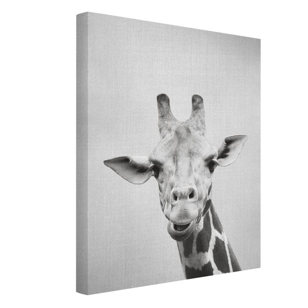 Zwierzęta obrazy Giraffe Gundel Black And White