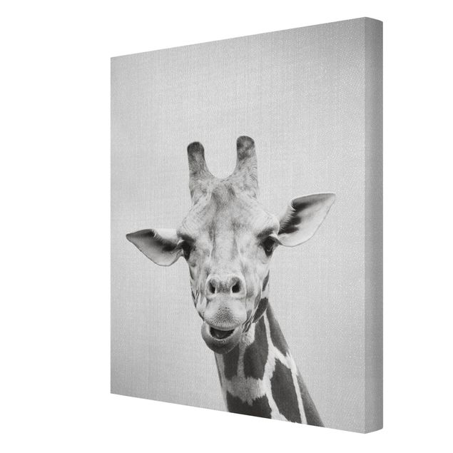 Obrazy afryka Giraffe Gundel Black And White