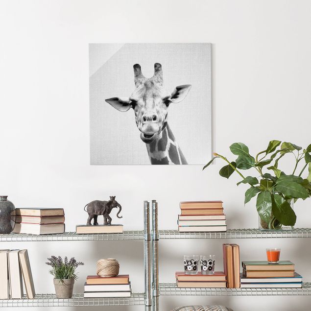 Obrazy żyrafa Giraffe Gundel Black And White