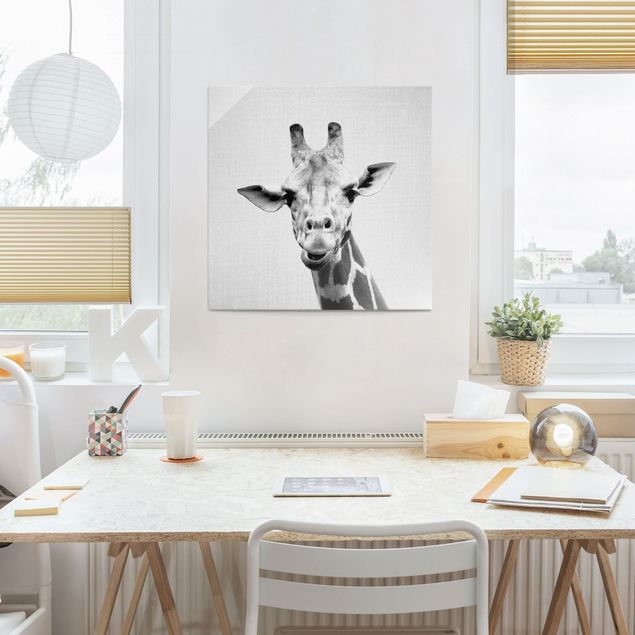 Obrazy na szkle kwadrat Giraffe Gundel Black And White