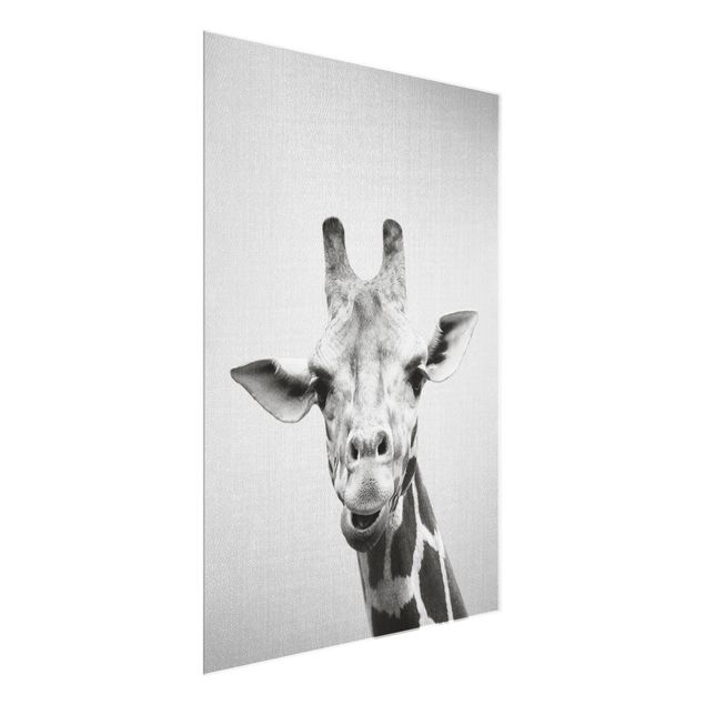 Obrazy żyrafa Giraffe Gundel Black And White