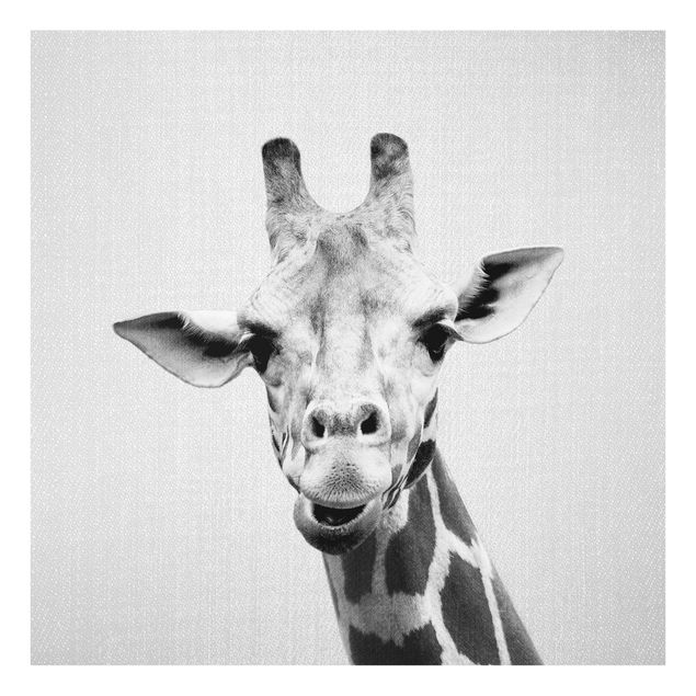 Obrazy do salonu nowoczesne Giraffe Gundel Black And White