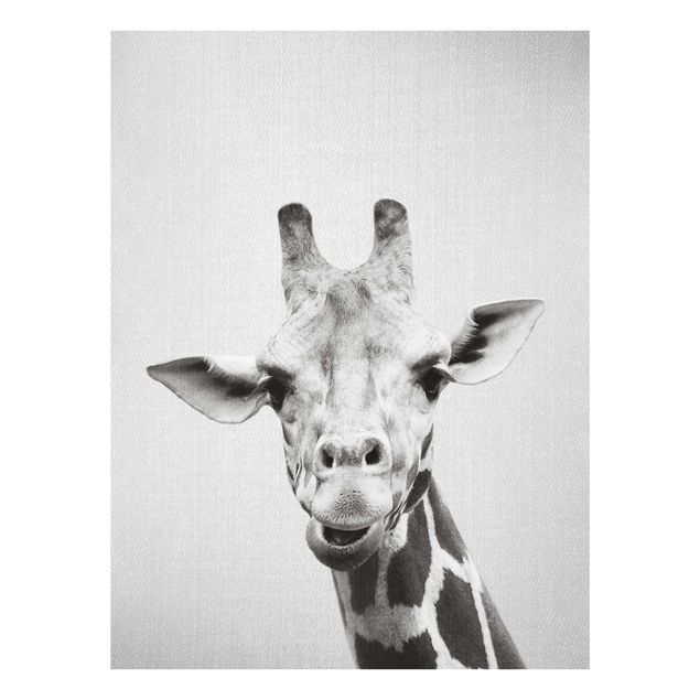 Obrazy na szkle zwierzęta Giraffe Gundel Black And White