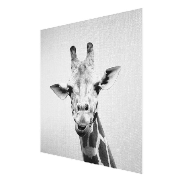 Nowoczesne obrazy Giraffe Gundel Black And White