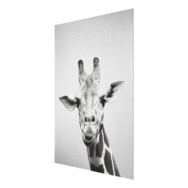 Nowoczesne obrazy Giraffe Gundel Black And White