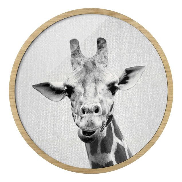 Obrazy w ramie zwierzęta Żyrafa Gundel czarno-biały