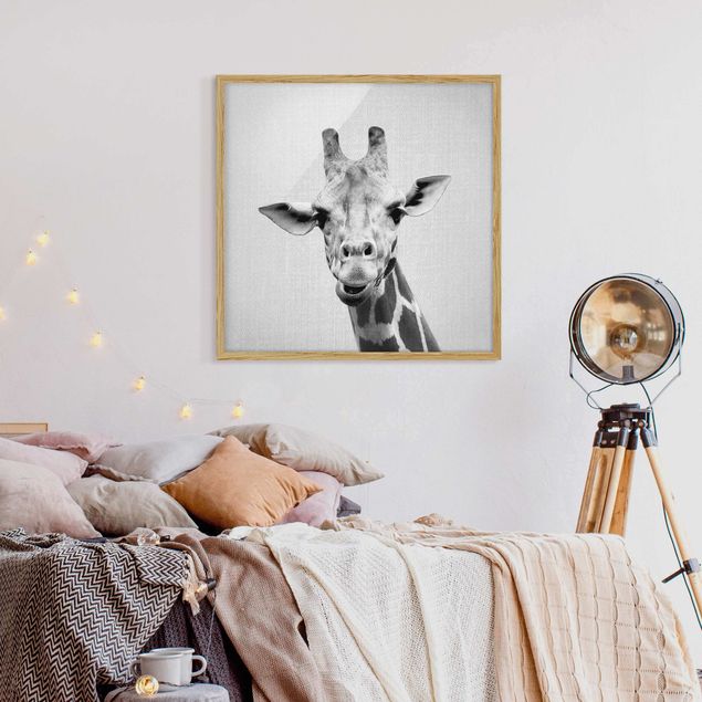 Obrazy w ramie dla dzieci Giraffe Gundel Black And White