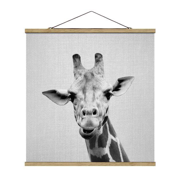 Obrazy ze zwierzętami Giraffe Gundel Black And White