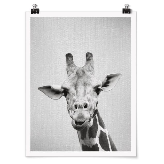 Obrazy zwierzęta Giraffe Gundel Black And White