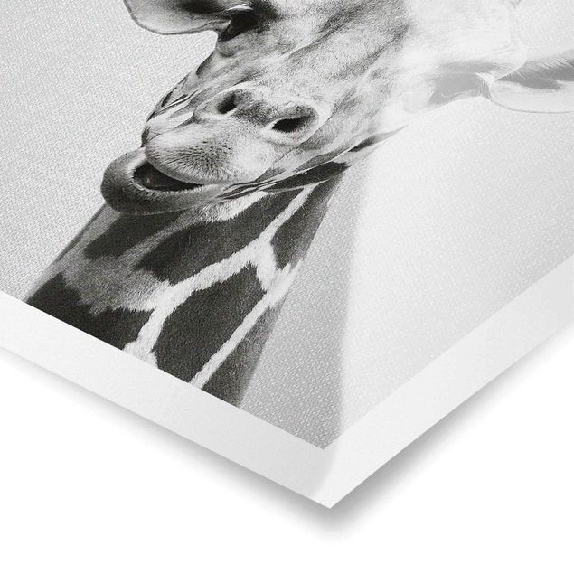 Obrazy Afryka Giraffe Gundel Black And White