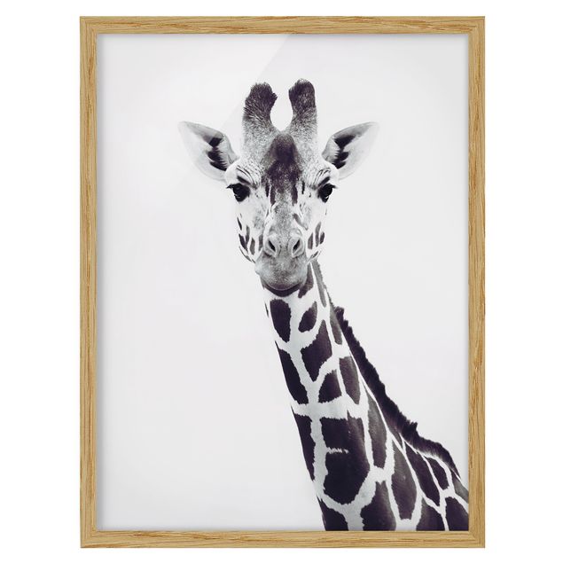 Obrazy w ramie do łazienki Portret żyrafy w czerni i bieli