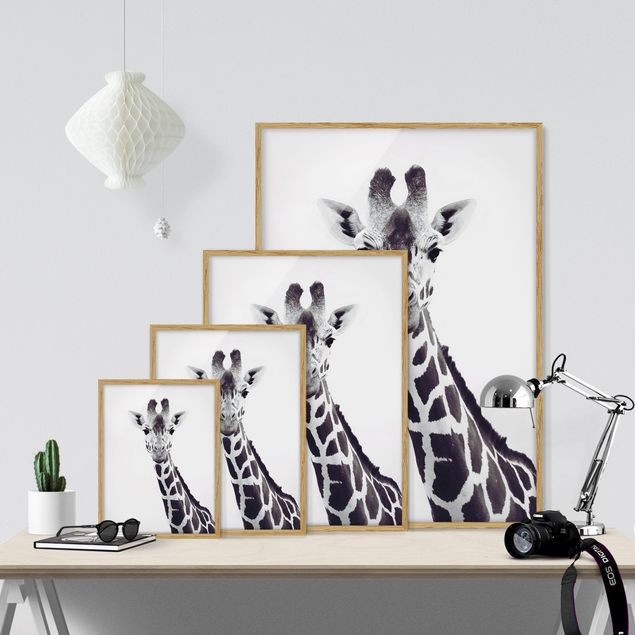 Obrazy w ramie do kuchni Portret żyrafy w czerni i bieli