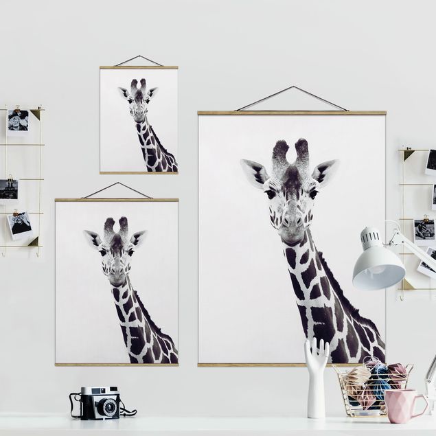 Czarno białe obrazki Portret żyrafy w czerni i bieli