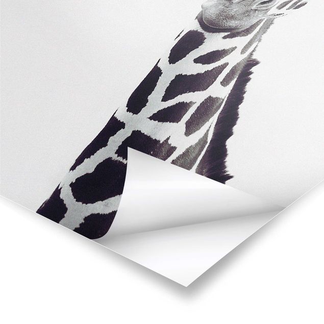 Plakaty czarno białe Portret żyrafy w czerni i bieli