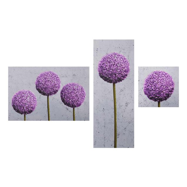 Obrazy do salonu Kwiaty kuliste Allium