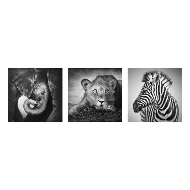 Obrazy na szkle zwierzęta Zwierzęta dla niemowląt