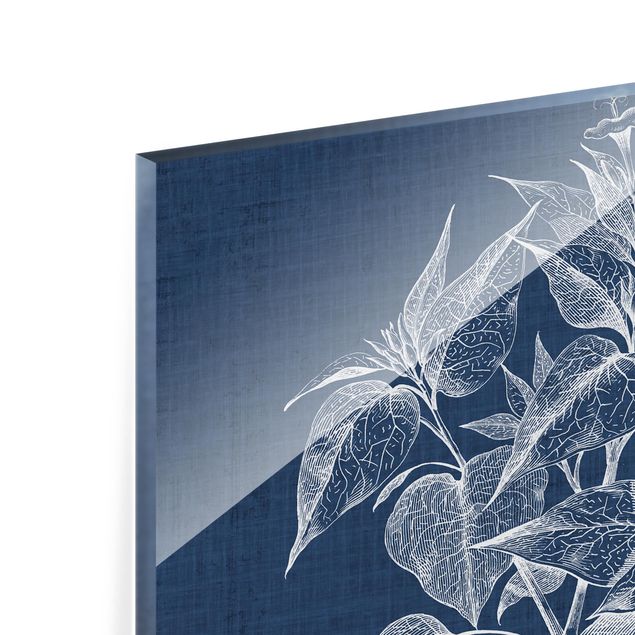 Obraz z niebieskim Zestaw do badania roślin denimu II
