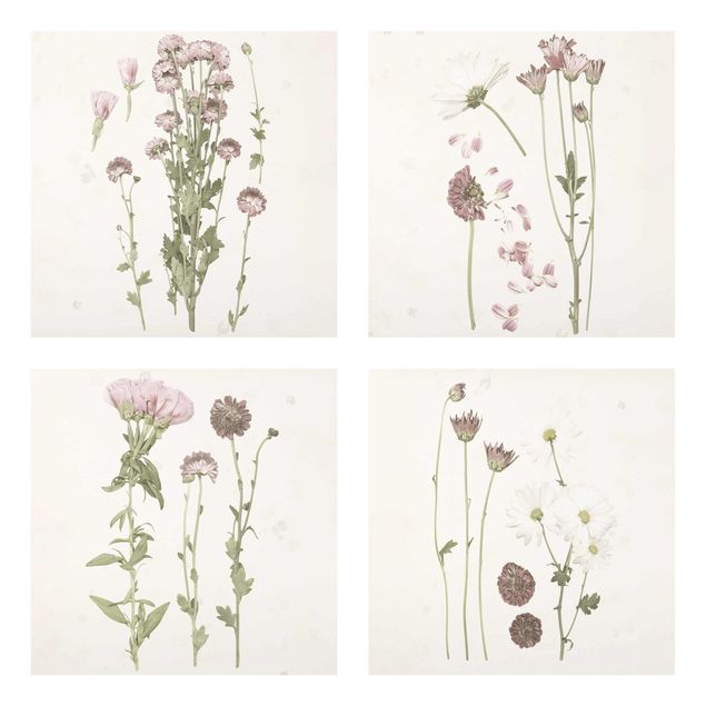 Obrazy do salonu nowoczesne Herbarium w kolorze różowym Zestaw I