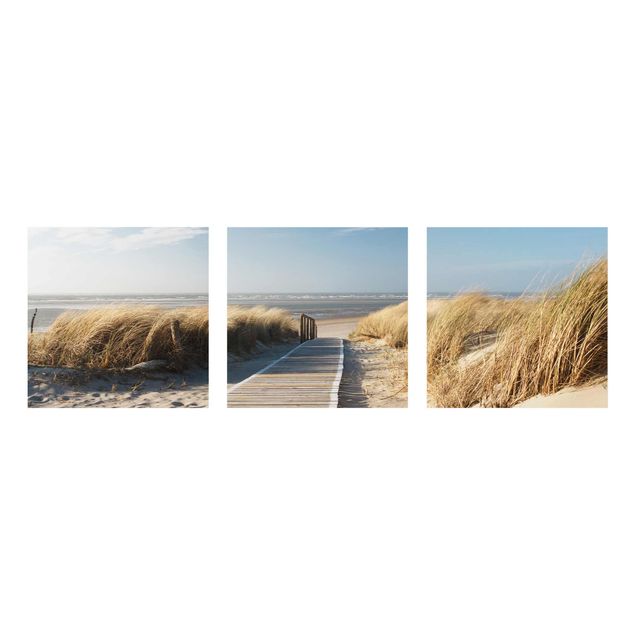 Obrazy na szkle wydmy Plaża nad Morzem Bałtyckim